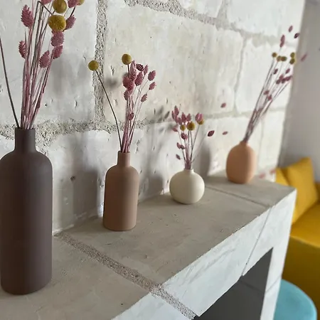Le Cocon Du Rempart De Charme Avec Mezzanine Centre アパート トゥール