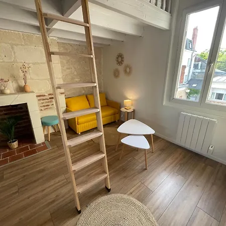 Daire Le Cocon Du Rempart De Charme Avec Mezzanine Centre Tours
